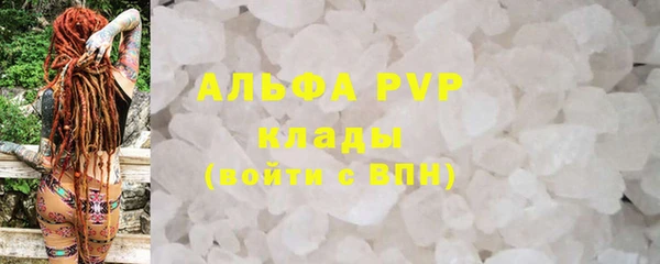 индика Богданович